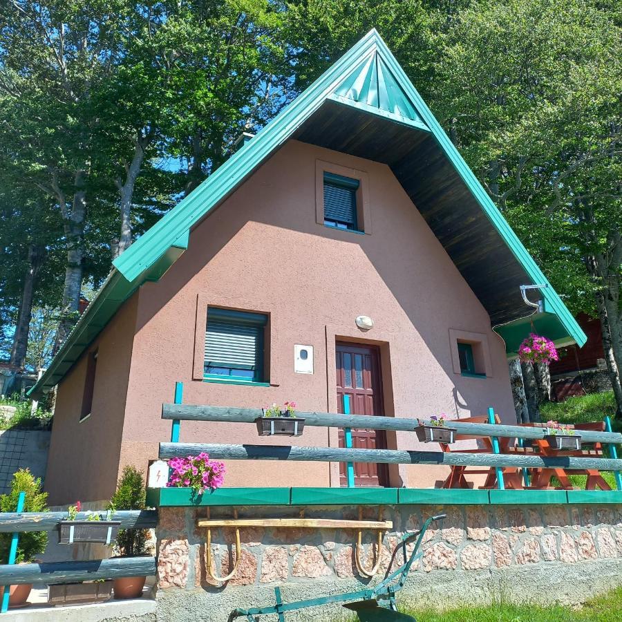 Vila Darija Žabljak Extérieur photo