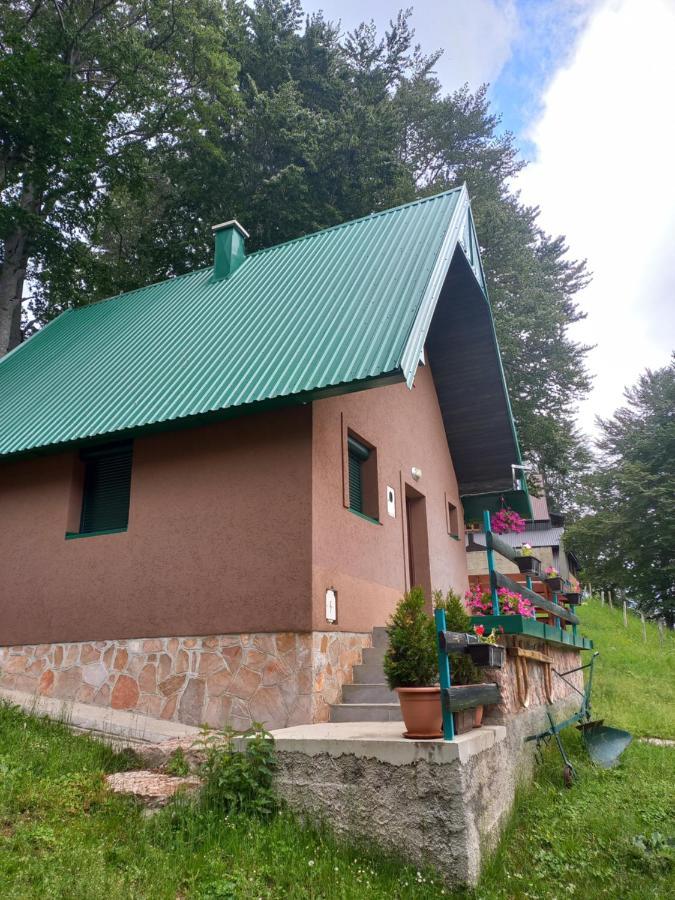 Vila Darija Žabljak Extérieur photo